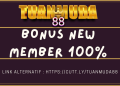 Discover the Best Slot Thailand Experience with TUANMUDA88