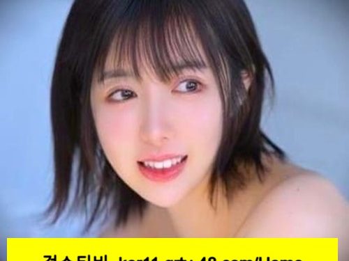 한국과 일본의 성인 AV 스트리밍 플랫폼의 진화