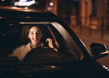 Area Tours with a Twist: Explore the Twin Cities in Luxurious Style