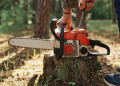 Precision Cutting in Orchards: How Stihl Gear Protects Tree Health