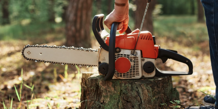 Precision Cutting in Orchards: How Stihl Gear Protects Tree Health
