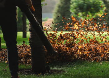 Controlled burns in Florida: risks, regulations and when they’re appropriate