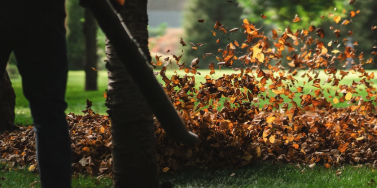 Controlled burns in Florida: risks, regulations and when they’re appropriate